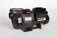 Intelliflo_VS-3050-LR2.jpg